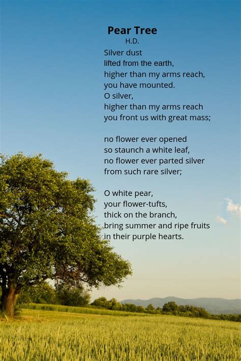 A Poem Written In Front Of A Tree With The Words Dear Tree On Its Side