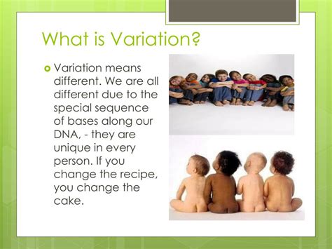 Ppt Variation Powerpoint Presentation Free Download Id2615281