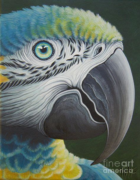 Wonderful Acrylic On Canvas Of A Parrot Acrylic Paintings Parrot