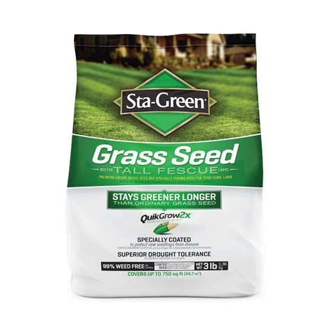 Sta Green 3 Lb Tall Fescue Grass Seed In The Grass Seed Department At