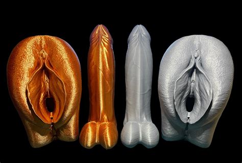 Matching Penis And Vulva Model Clitoris Vagina Pussy D Etsy