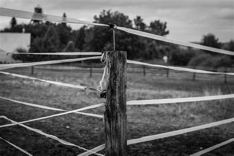 Free Images Nature Grass Fence Black And White Structure Wood