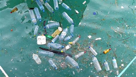 Plastic Pollution And Marine Life A Look At The Numbers Worldwide Boat
