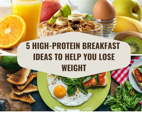5 High Protein Breakfast Ideas To Help You Lose Weight Sports Wholesale Supply