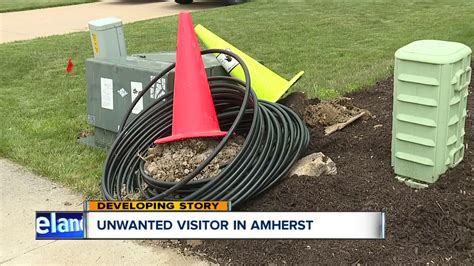 WOW! cable company has overstayed its welcome in Amherst neighborhood