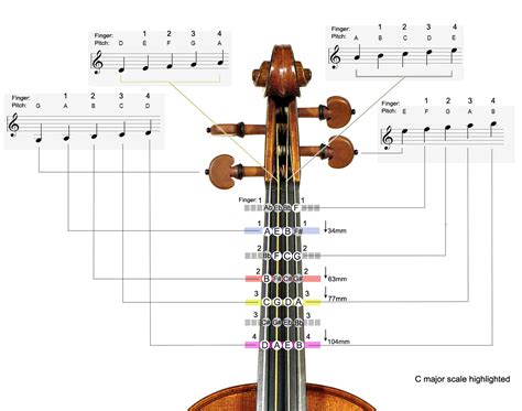 Violin Finger Positions And Patterns Free Pdf Charts Artofit
