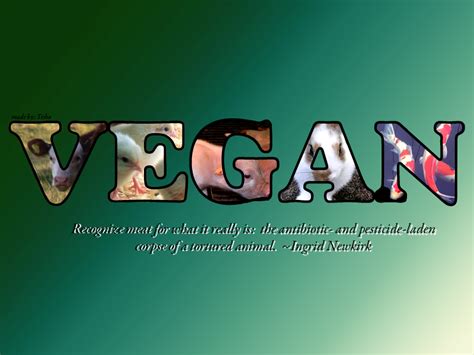 Check spelling or type a new query. 38+ Vegan Wallpaper Desktop on WallpaperSafari