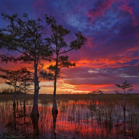 Florida Landscape Photography By Paul Marcellini