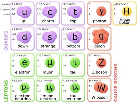 Quarks Leptons And Bosons Higgs Boson Physics Elementary Particle