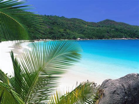 Tropical Beach Wallpapers Desktop Wallpaper Cave