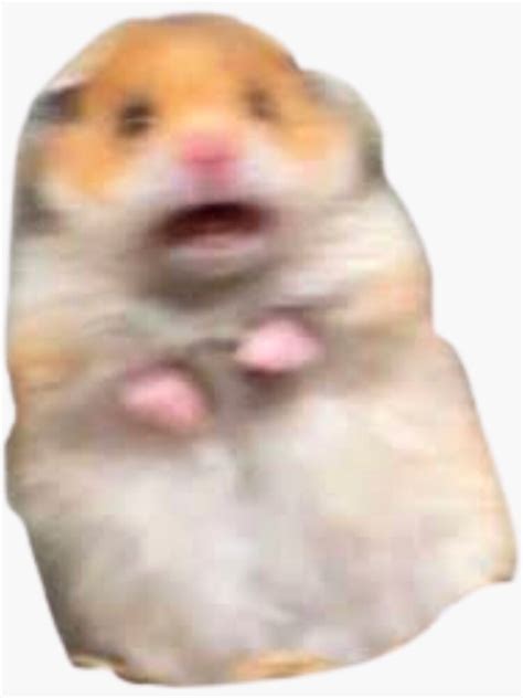 Scared Hamster Meme Sticker For Sale By The Al Foil Redbubble