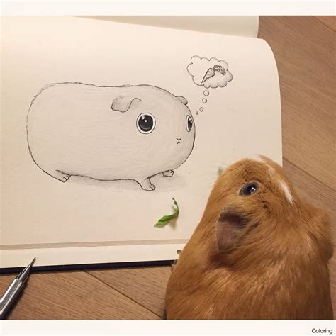 These brute are very common in many south american. Guinea Pig Drawing at GetDrawings.com | Free for personal ...