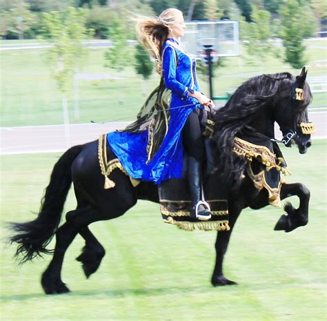 Friesians Are Fairy Tale Horses Horse Crazy Horse Love Horse Girl