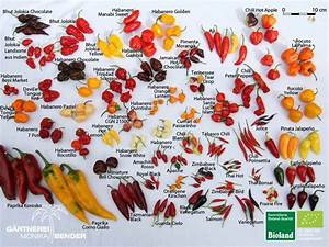 Types Of Peppers Chart
