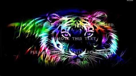 Wallpaper Fire Angels Tigers Love Abstract Neon Tiger 1366x768