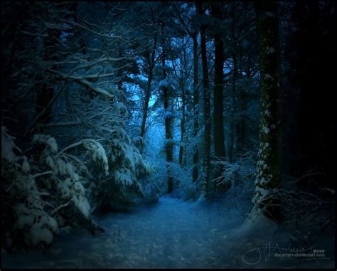 Dark Forest By Thinkingupwards On Deviantart Snowy Forest Magic