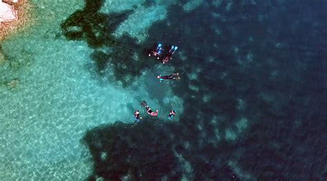 In diesem ratgeber erfährst du alles, was du für den schnellstart benötigst. Fare Snorkeling: ecco 4 ottimi motivi! - Outdoor Portofino