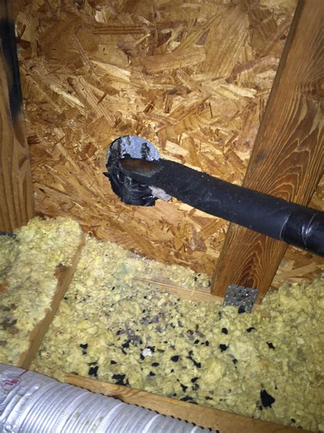 Rat Droppings In Attic Insulation Critter Control Ft Lauderdale