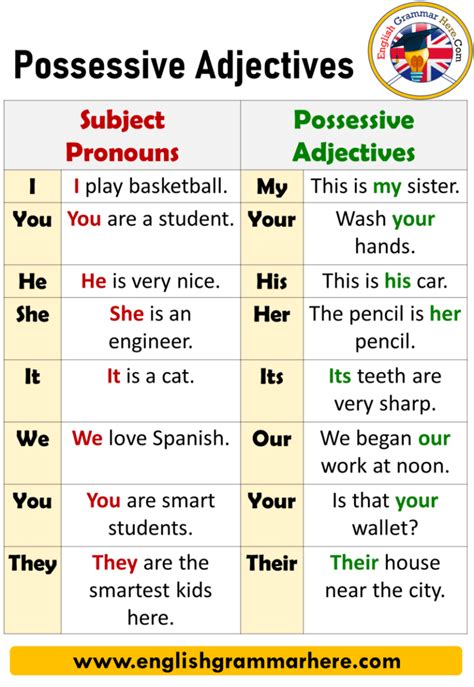 Possessive Adjectives Definition And Example Sentences English