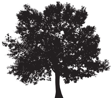 Oak Tree Silhouette Outline