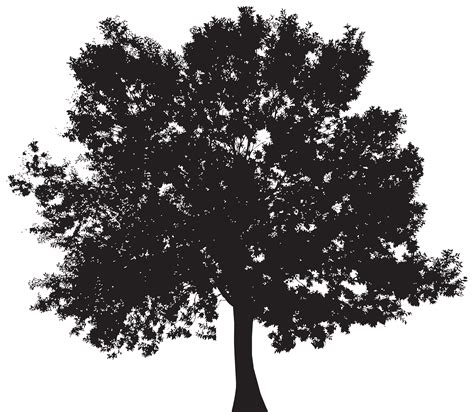 Tree Silhouette Wallpaper