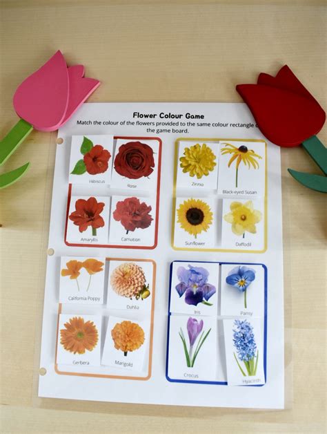 Preschool Printable Flower Colour Matching Game Montessori Etsy