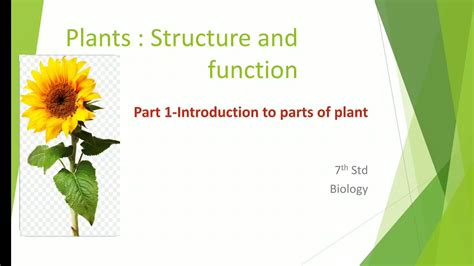 Biology 7th Std Plant Structure And Function Part 1 By Swapnali