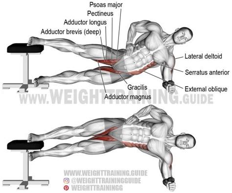 Side Plank Hip Adduction A Compound Exercise Target Muscles Adductor