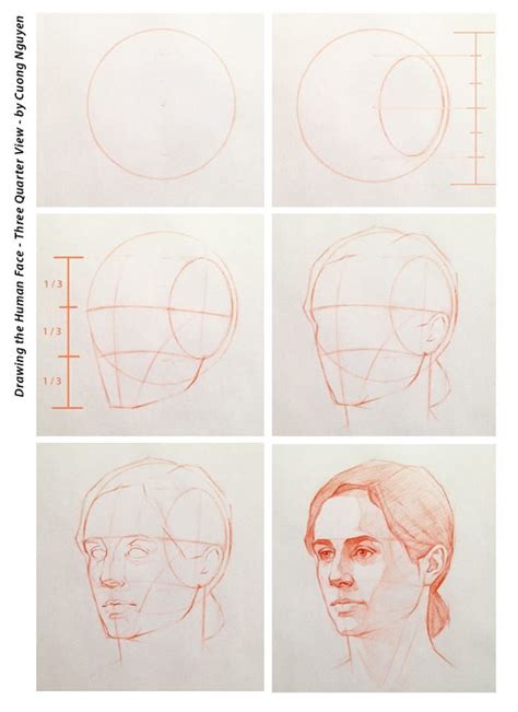 Drawing The Human Face Three Quarter View By Cuong Nguyen Female