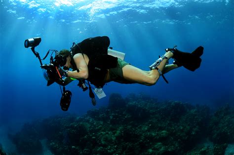 Longtime Diver Photographs Destroyed Underwater Environment Actionhub