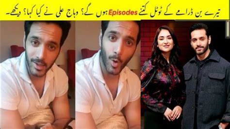 How many Total Episodes Will Tere Bin Drama Have? | Wahaj Ali Tells