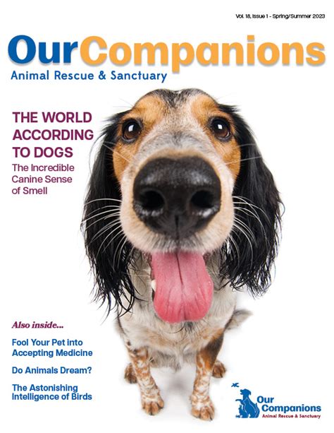 Our Companions Magazine Vol 18 Issue 1 Springsummer 2023 Our