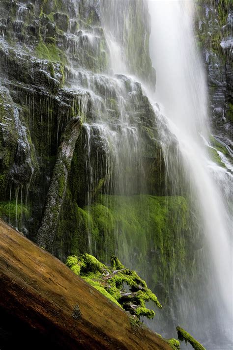 Intimate Proxy Falls Photograph By Steven Clark Pixels