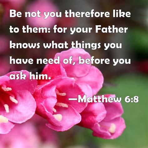 Matthew 68 Be Not You Therefore Like To Them For Your Father Knows What Things You Have Need