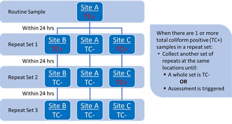 Rtcr Repeats Texas Commission On Environmental Quality Tceq