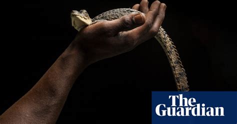 Jamaicas Rare Wildlife In Pictures Environment The Guardian