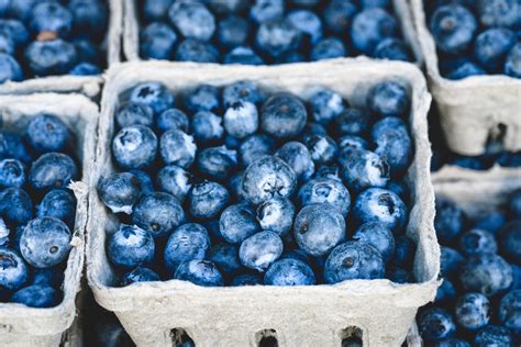 How To Pick Blueberries At The Market And Keep Them Fresh Benefits Of