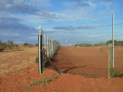Australian Dingo Fence 12 Pics