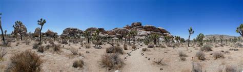 Joshua Tree National Park Mojave Desert California Stock Photo