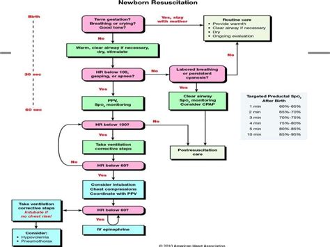 Neonatal Resuscitation