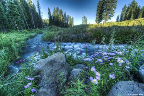 Grand junction might aptly be described as a suburb without a city. Grand Mesa | Visit Grand Junction, Colorado (With images ...
