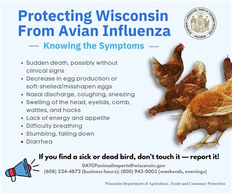Avian Influenza Confirmed In Jefferson County