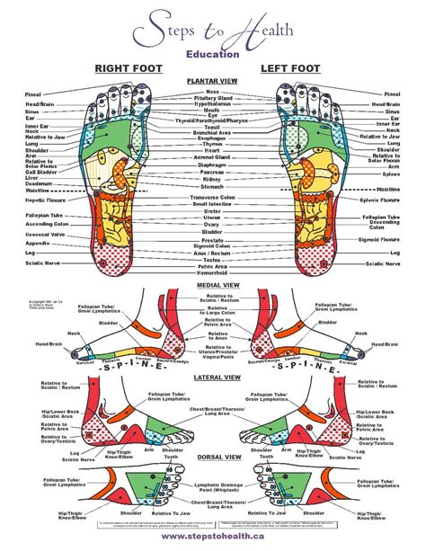 Foot Zoning Chart Our Bodies Communicate To Us Clearly And Specifically If We Are