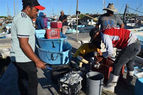 Revive La Pesca En Yucatán Reportan Mejoría Del 50 A Seis Días De