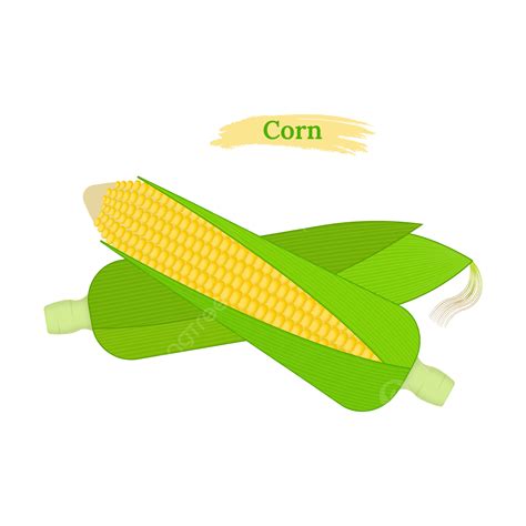 Corn Illustration Vector Png Images Corn Vector Illustration Corn