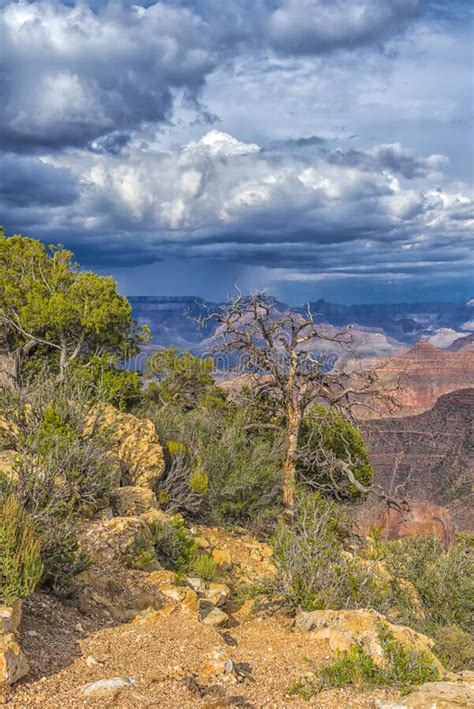 Grand Canyon With Rain Clouds Above It Stock Photo Image Of Cloud