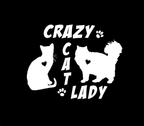 Crazy Cat Lady Decal Custom Vinyl Car Truck Window Sticker Crazy Cat