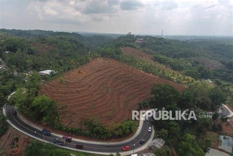 Peneliti Luas Hutan Di Pulau Jawa Makin Mengecil Republika Online