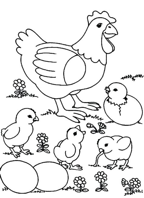 Search through 623,989 free printable colorings at getcolorings. Chicken Coloring Pages - Best Coloring Pages For Kids