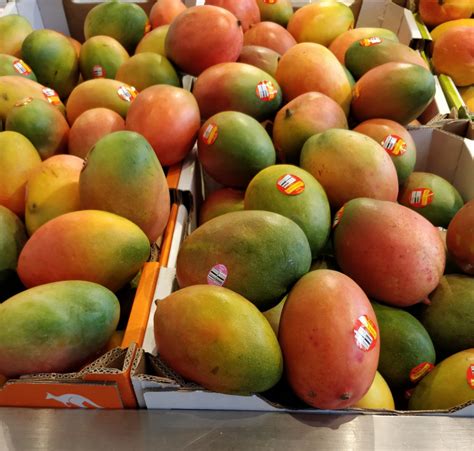A Complete List Of Mango Varieties Most Popular Mango Maven